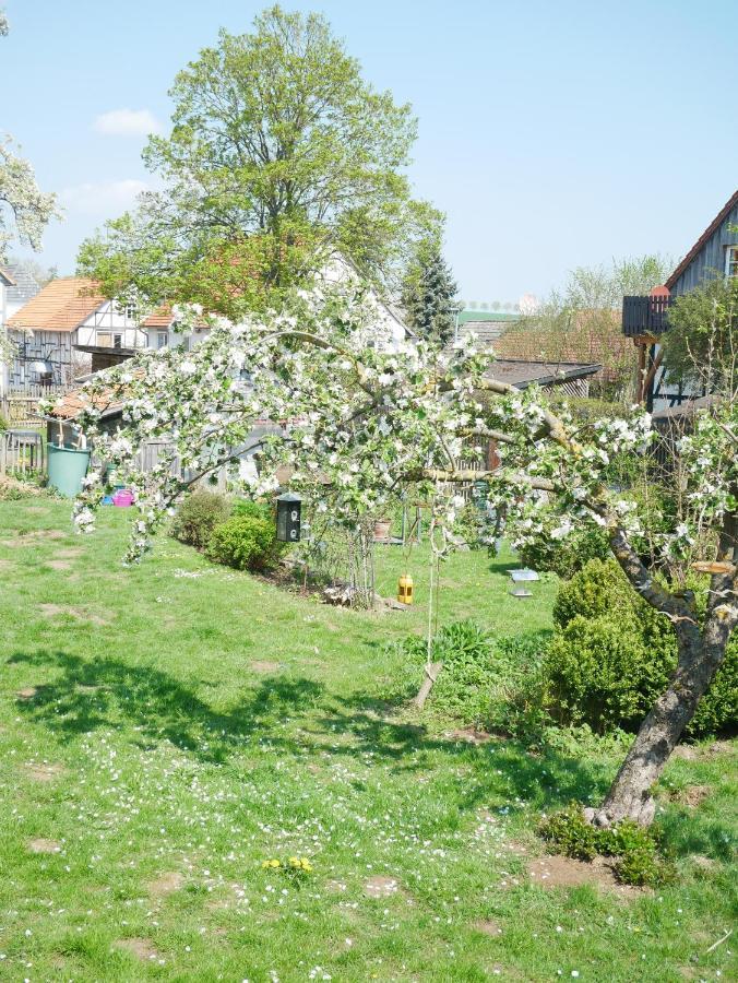 Tiny Ferienhaus Kelze Hofgeismar Exterior photo